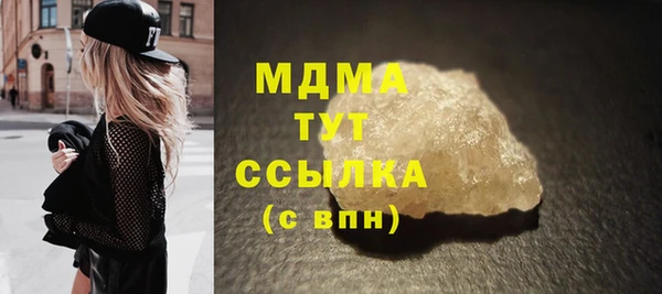 индика Ельня