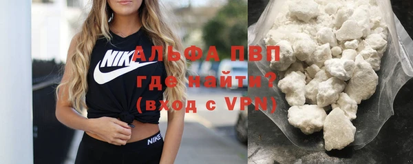 СК Елизово