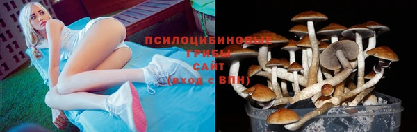 гашишное масло Елабуга