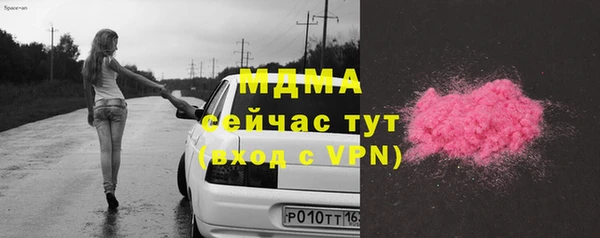 индика Ельня