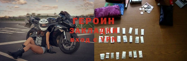 индика Ельня