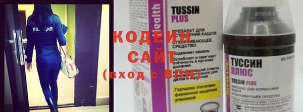 индика Ельня
