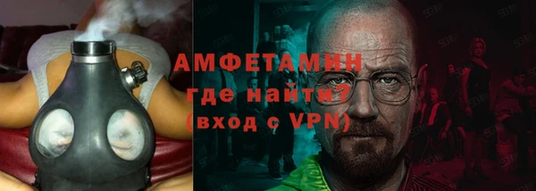 индика Ельня