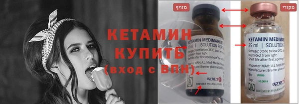 индика Ельня