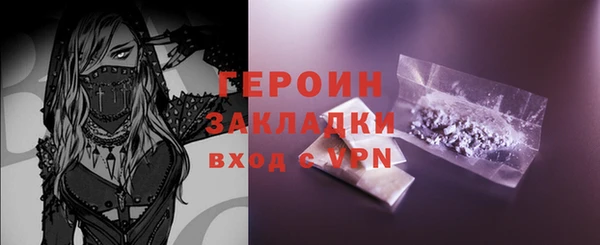 индика Ельня
