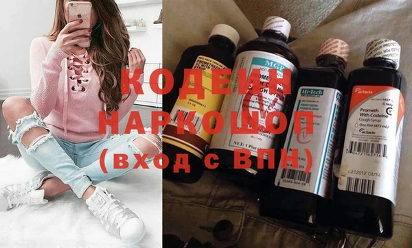 индика Ельня