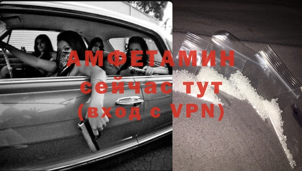 индика Ельня