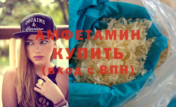 индика Ельня