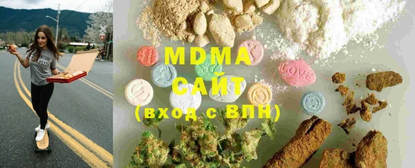 индика Ельня