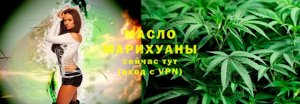 индика Ельня