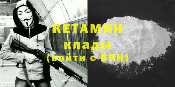 индика Ельня