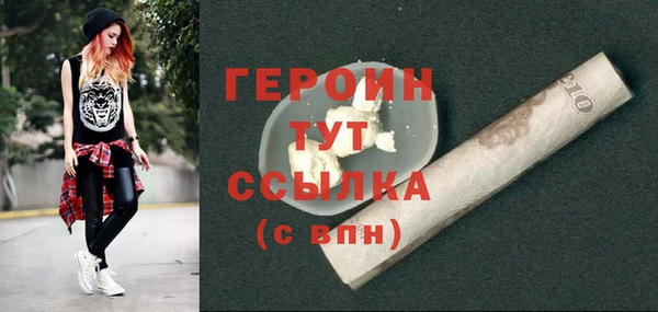 индика Ельня