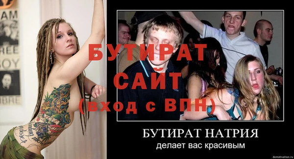 индика Ельня