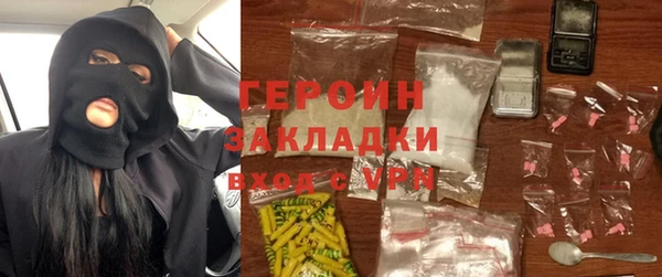 индика Ельня