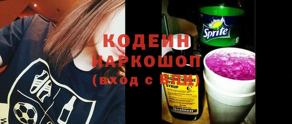 индика Ельня