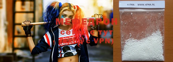 индика Ельня